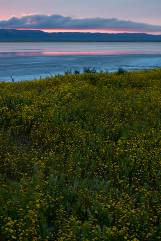 079.JPG : Soda Lake 의 여명