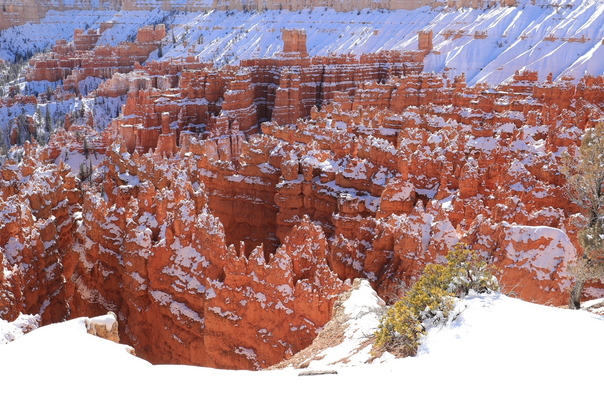 PKK_7953WP.JPG : Bryce Canyon