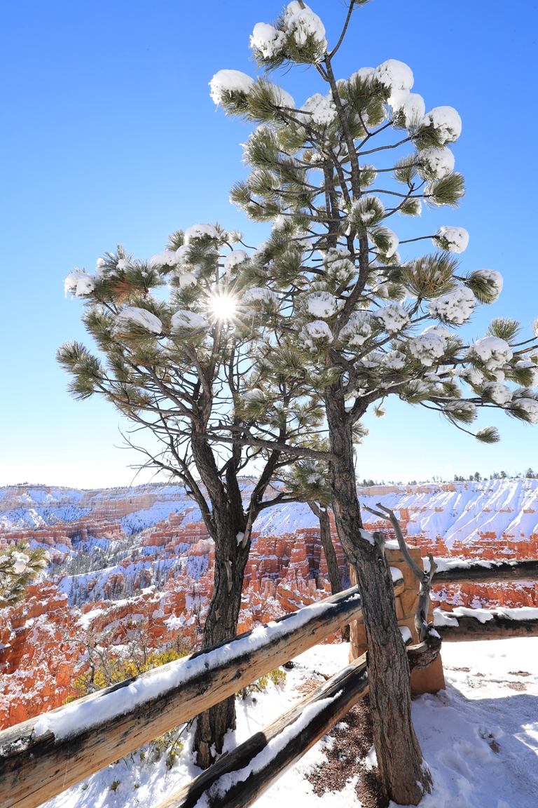 PKK_7963WP.JPG : Bryce Canyon