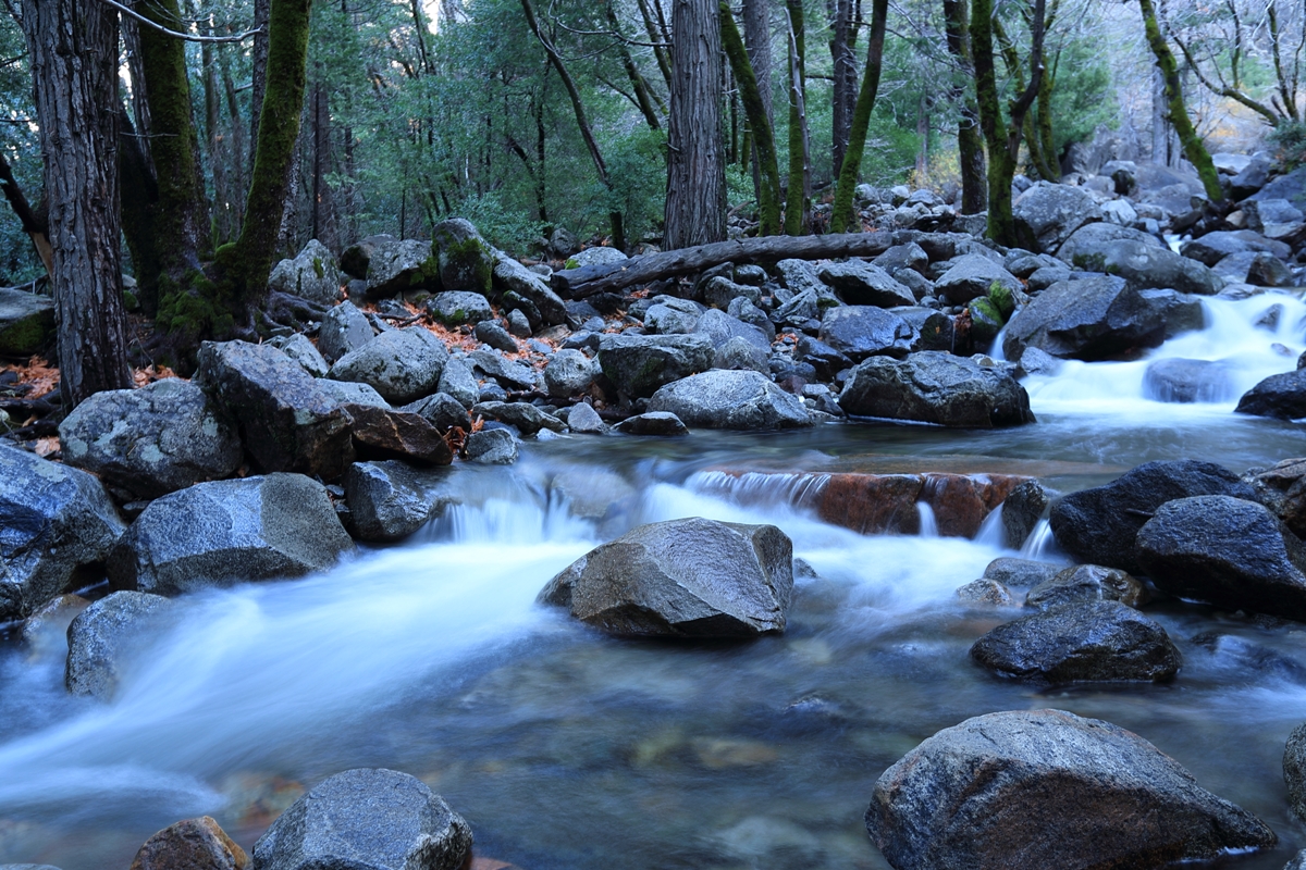 PKK_8055WP.JPG : Yosemite N.P.