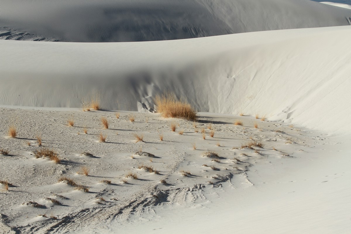 IMG_5818WP.JPG : White Sand / New Mexico