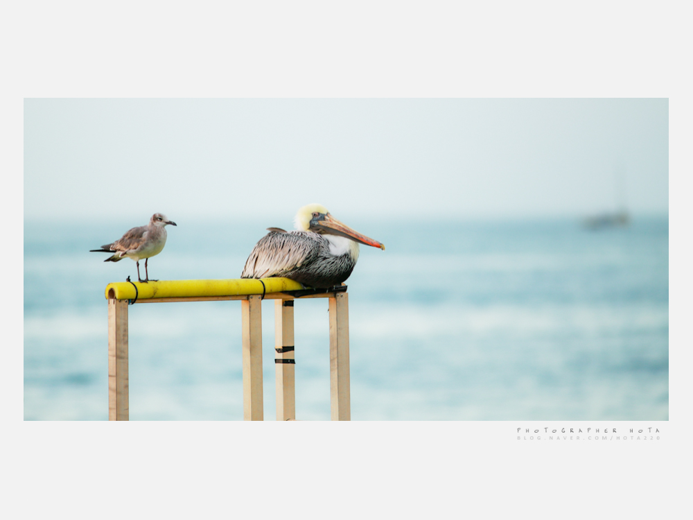 가로액자-29.jpg : key west..  #03