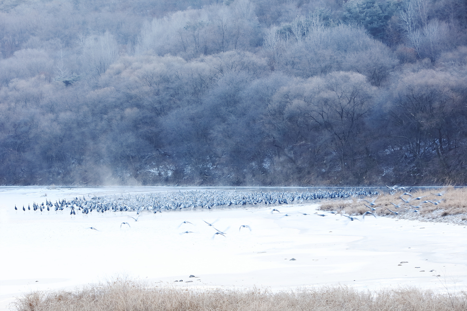 185A1536.jpg : 두루미잠자리