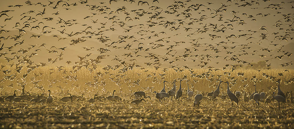 DSC_4448-Edit copy.jpg : 자연의 신비