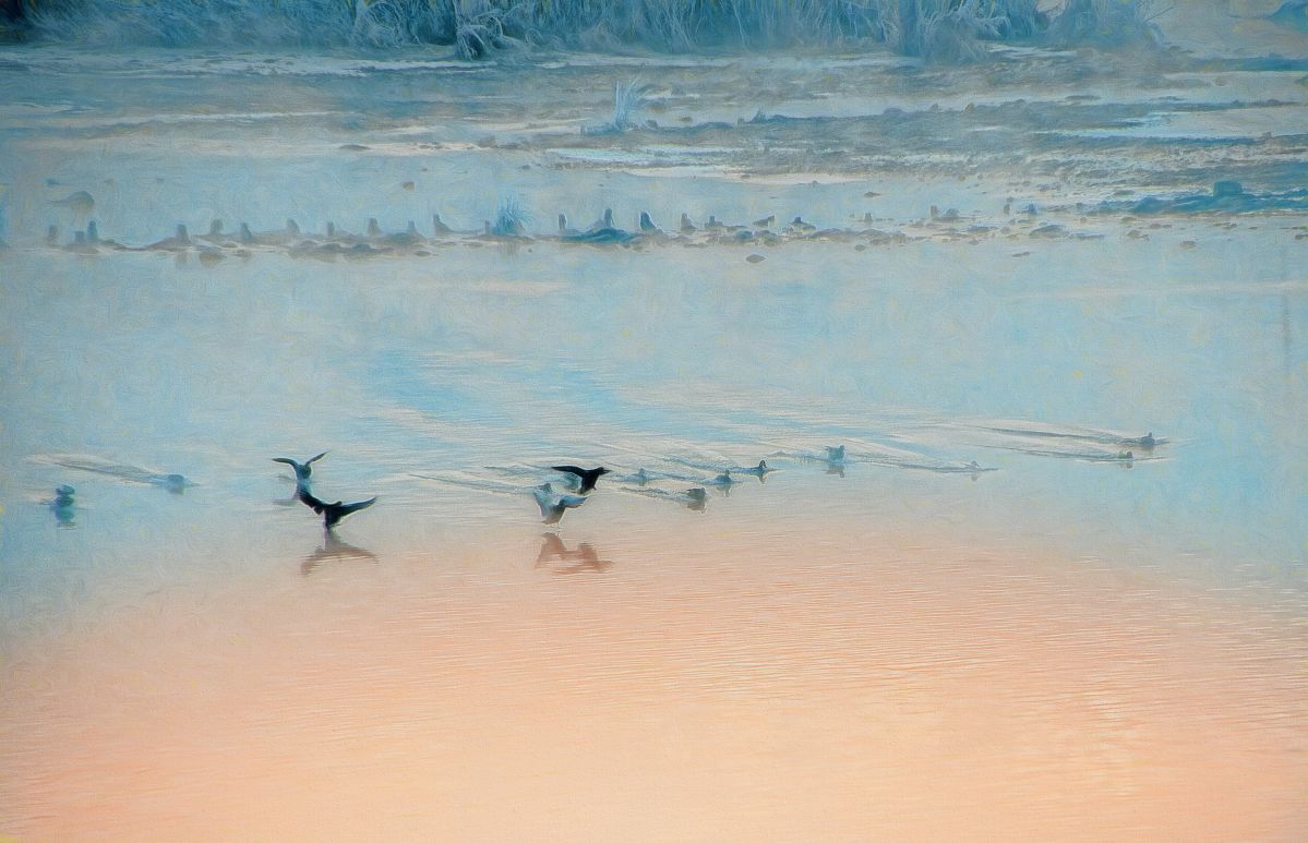 impressionistic II.jpg : 겨울