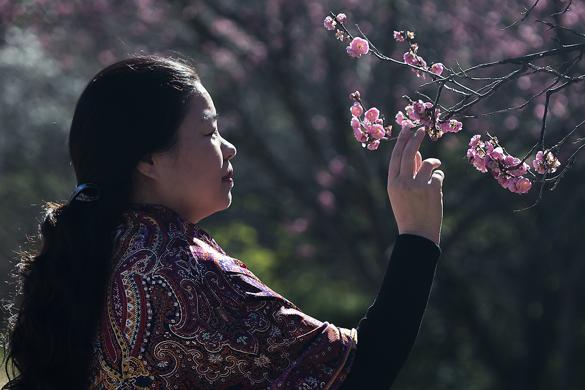 7S5A8895-1a.jpg : 매화야!