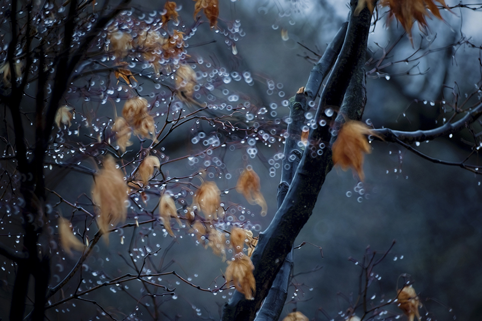 liquid color.jpg : Raining...