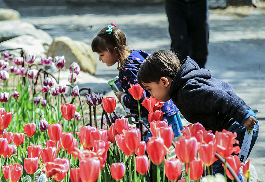 IMG_5515-1a.jpg : Descanso Garden에서