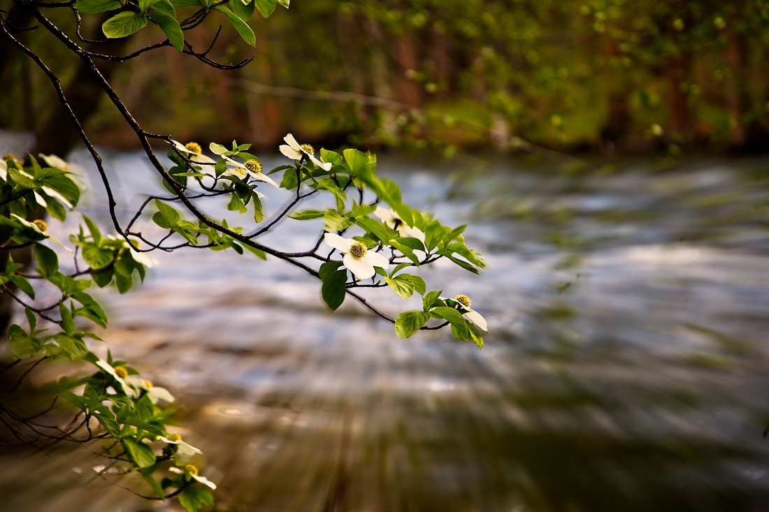 EOS 5D Mark IV_0201.jpg