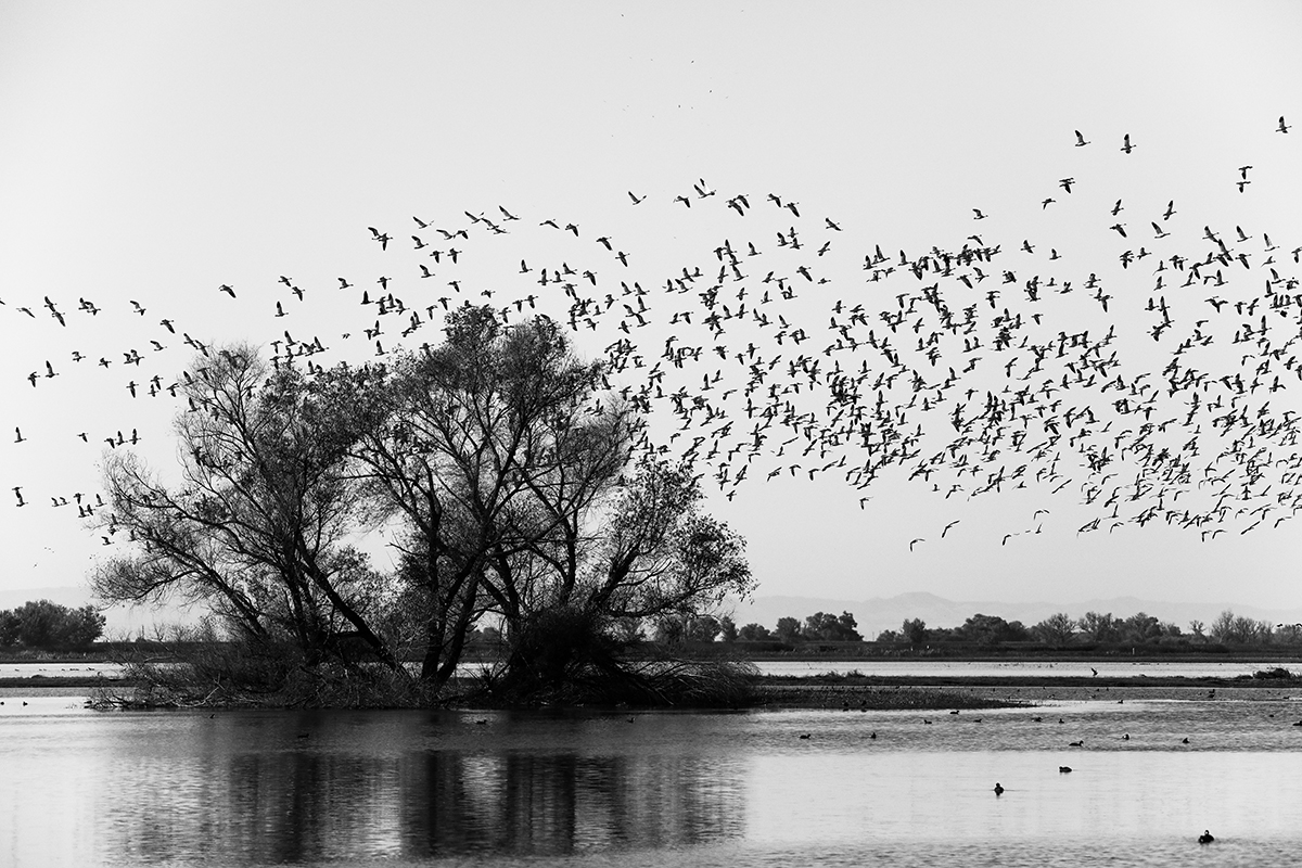 7S5A2417-1a.jpg : REfuge 1