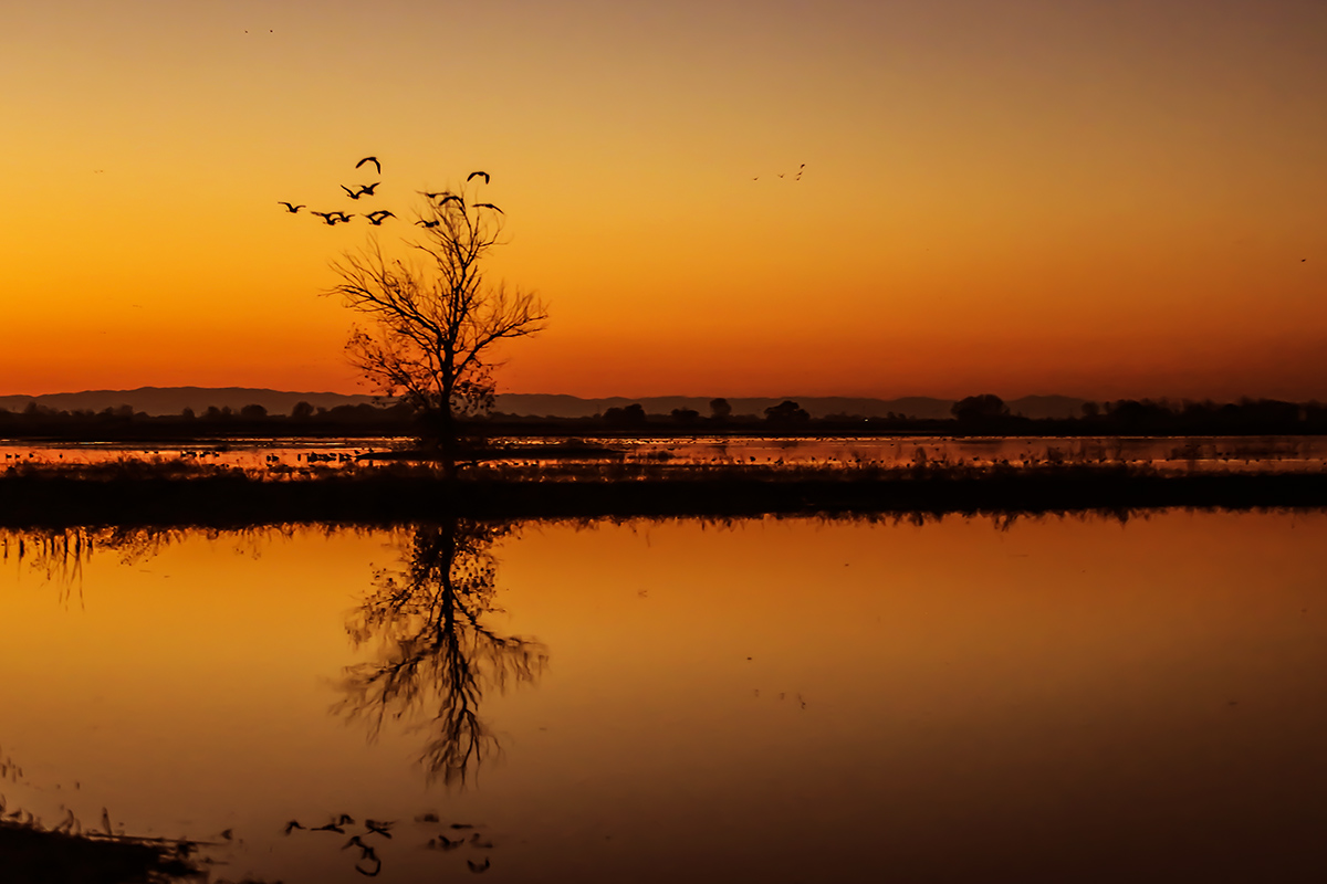 7S5A1563-1a.jpg : Refuge 2