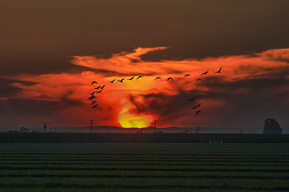 7S5A2485-1b.jpg : Refuge 2