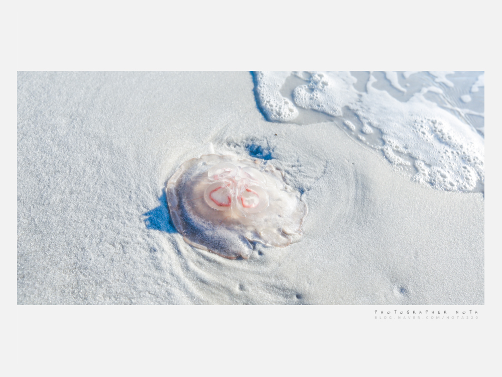 가로액자-13.jpg : key west..  #02