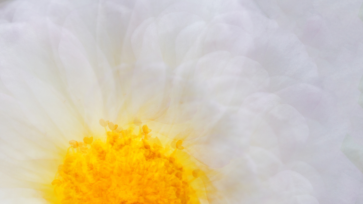 0S6A7868-1.jpg