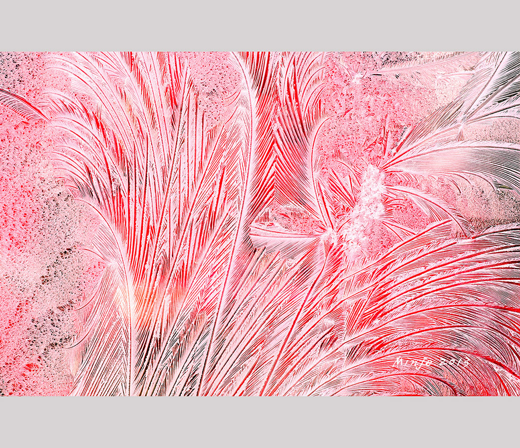 HAN_0861-1.jpg : Nature paintings