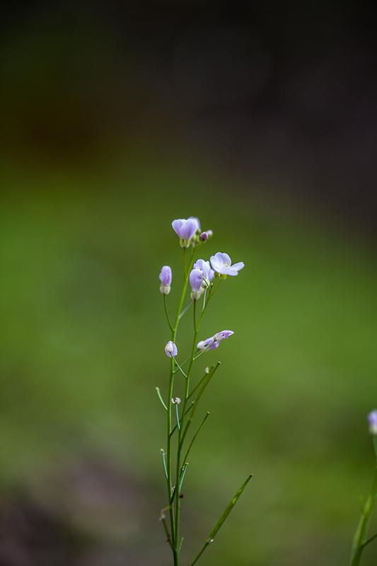 EOS 5D Mark II_15173-편집.jpg
