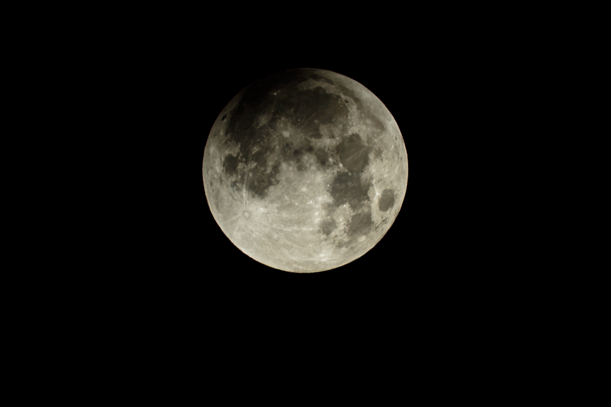 Super Blood Moon.gif : Super Blue Blood Moon