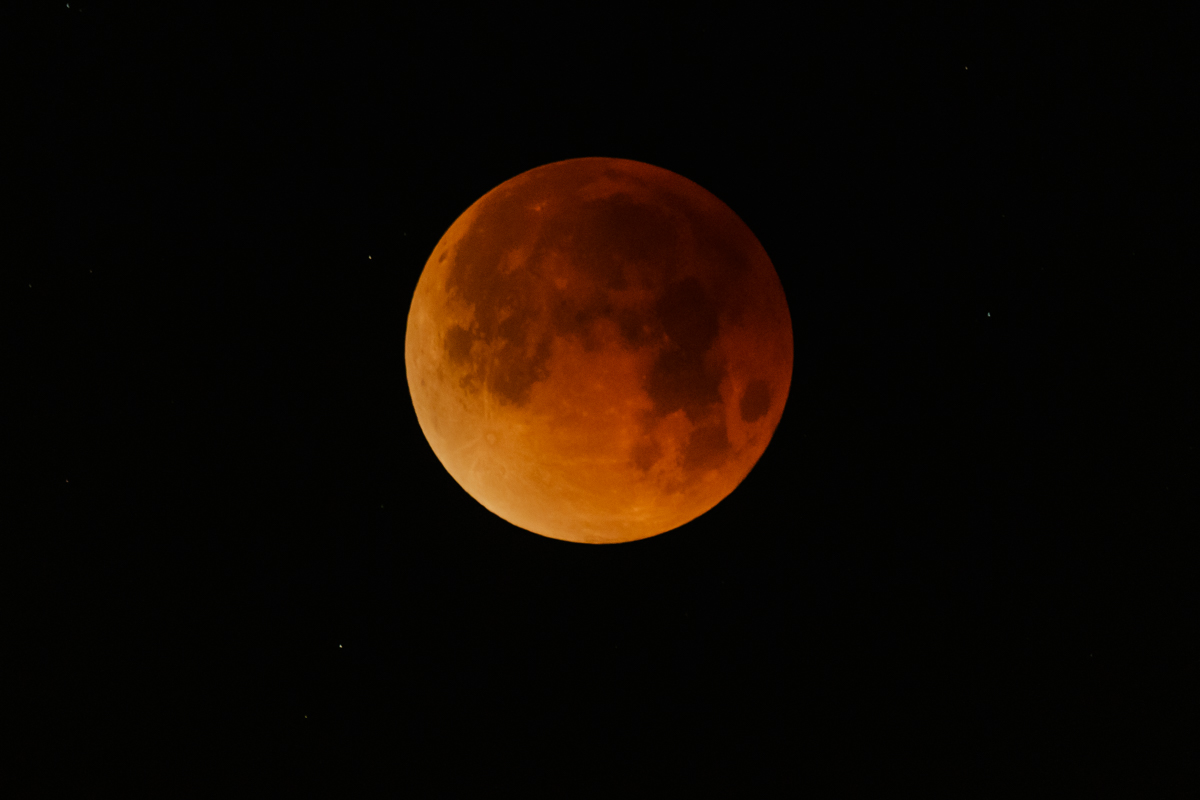 AB4W0959.jpg