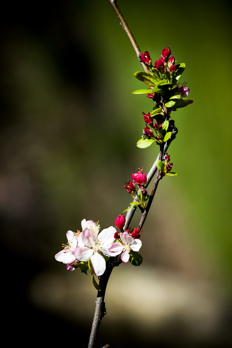 5I4A7723-1.jpg : 색의 향연