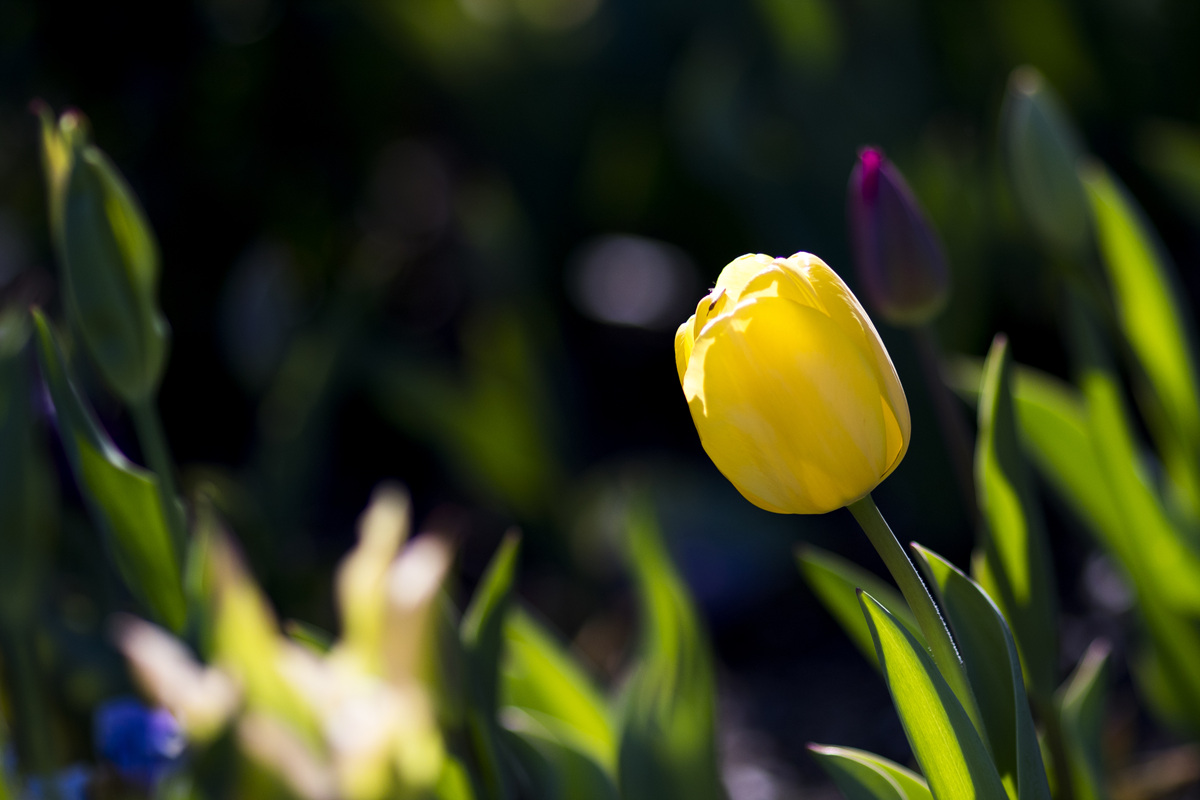 5I4A7662-1.jpg : 색의 향연