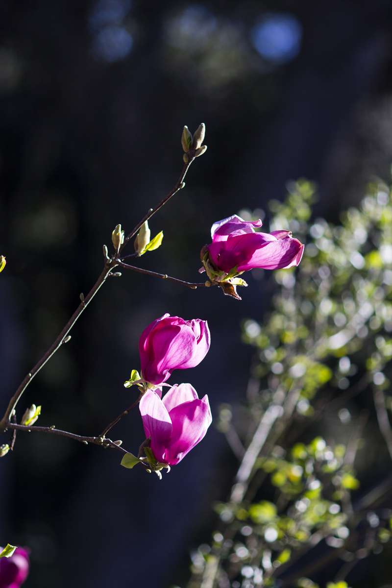 5I4A7792-1.jpg : 색의 향연