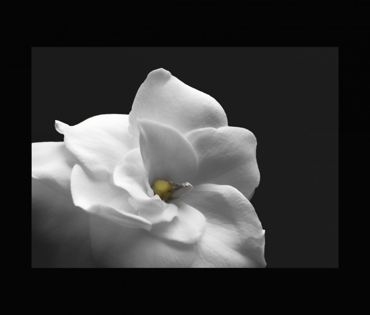 whisperly II.jpg : Whisper~~ing