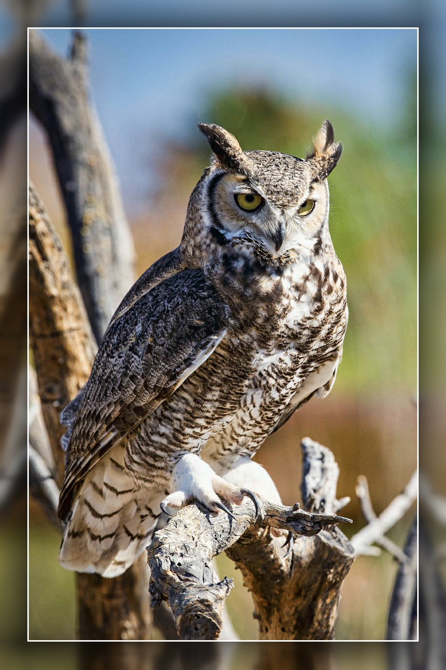 AB4W3186-Edit.jpg
