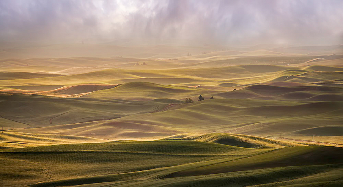 DSC_4055-Edit-Edit-Edit.jpg : Dreams of Palouse