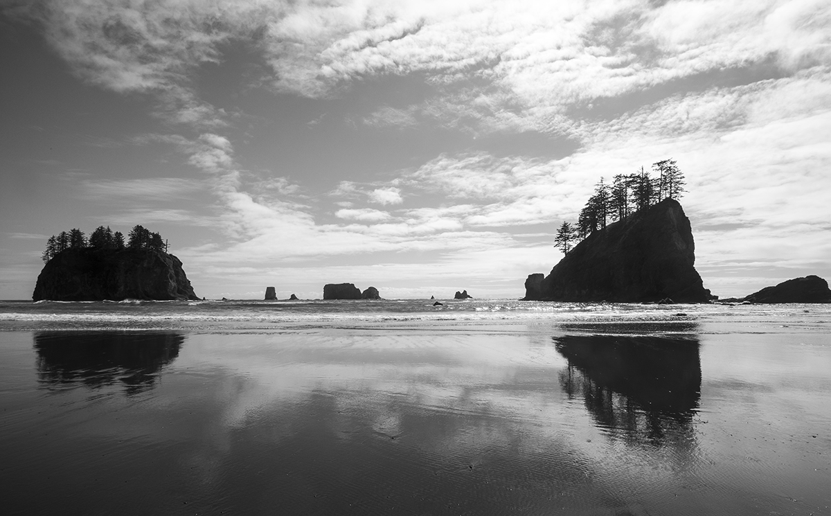 _L4A0378-2a.jpg : La Push Beach
