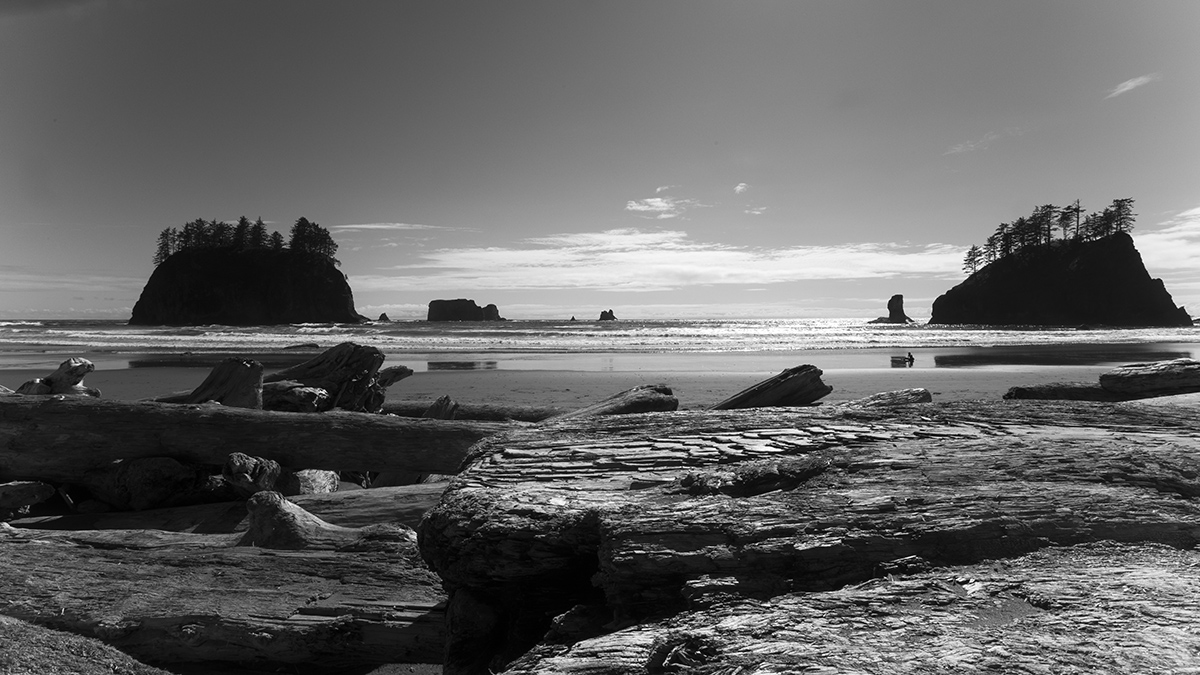 _L4A0393-1a.jpg : La Push Beach