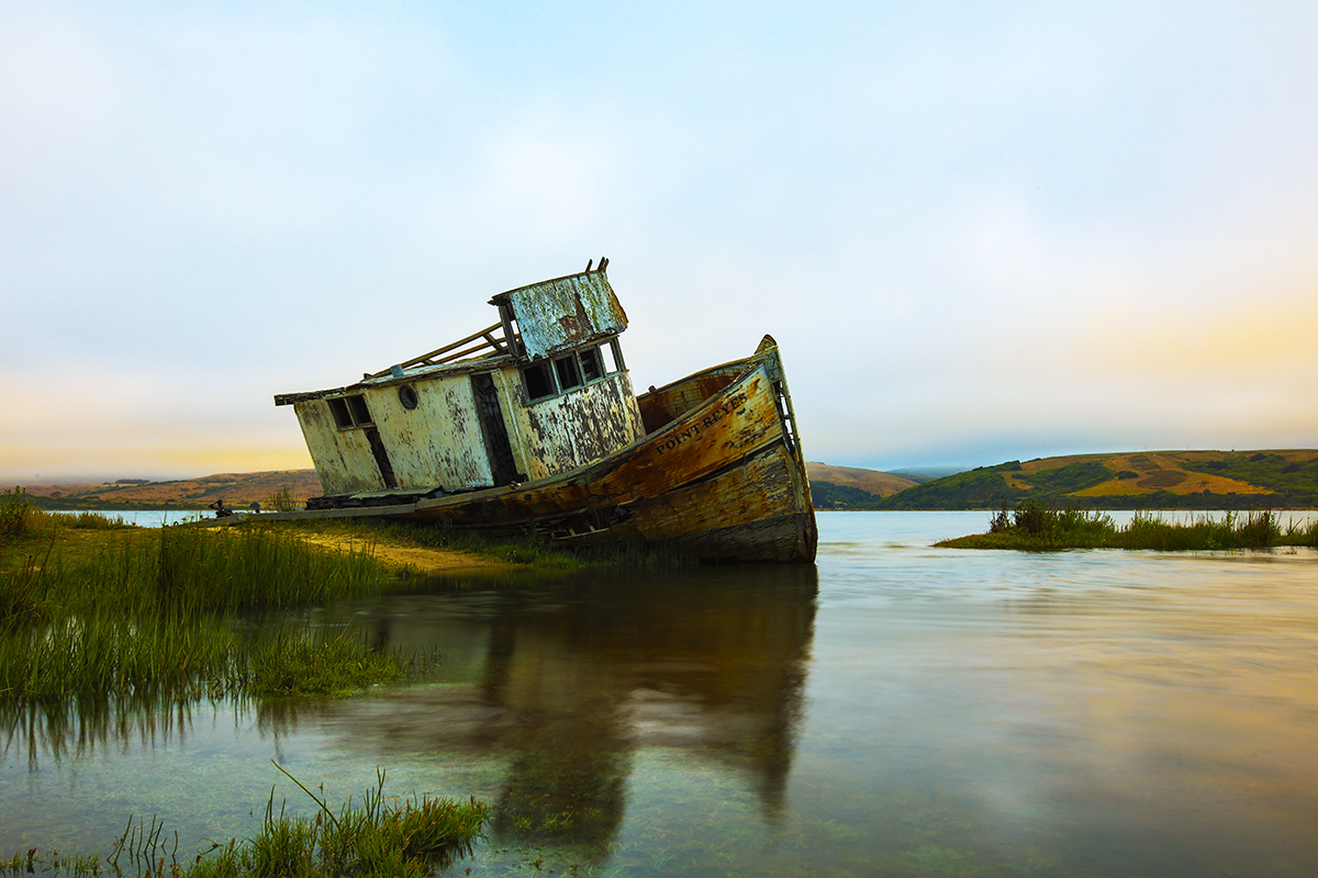 7S5A2796-1a.jpg : Point Reyes