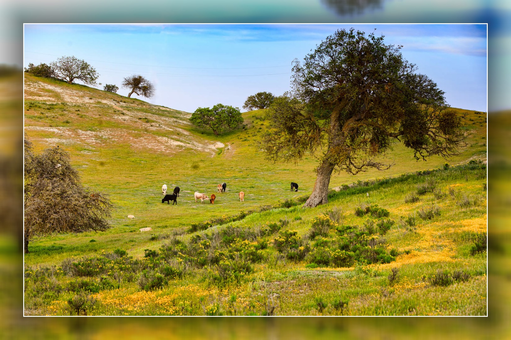 8B2A2924-Edit.jpg : Garden of Eden