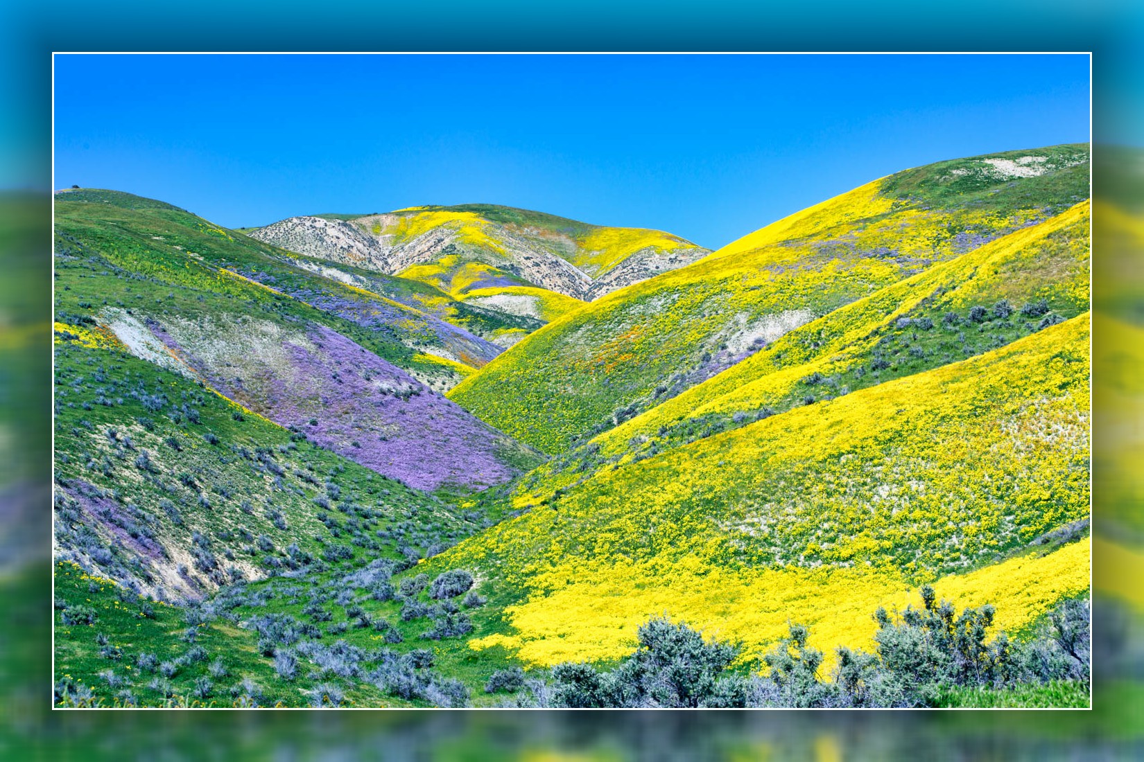 8B2A2772-Edit.jpg : Garden of Eden