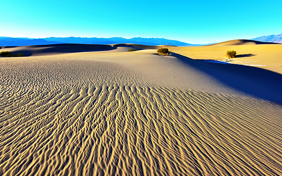 DSC_9956 PS Crop Dkr 1100px.jpg : True Solitude