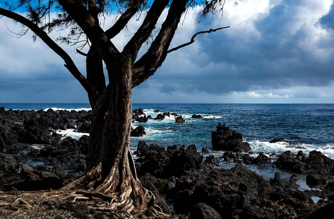 DSC_2183.jpg : Maui