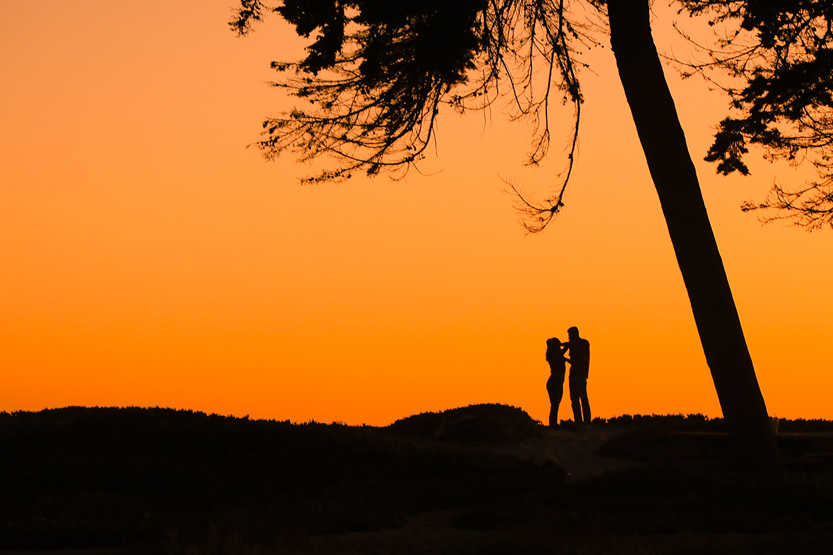 _L4A3795-1a.jpg : Together