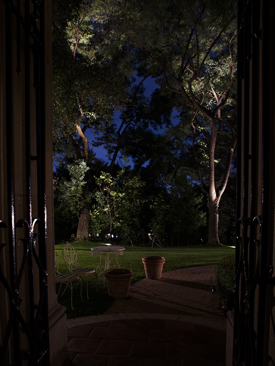 W62A7417-1a.jpg : Out Door?