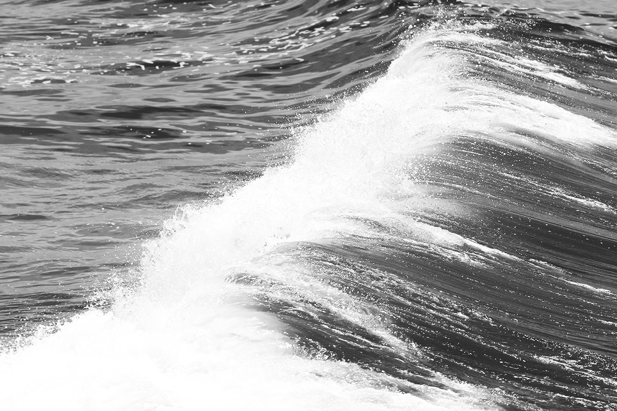_L4A2323-1b.jpg : Wave..
