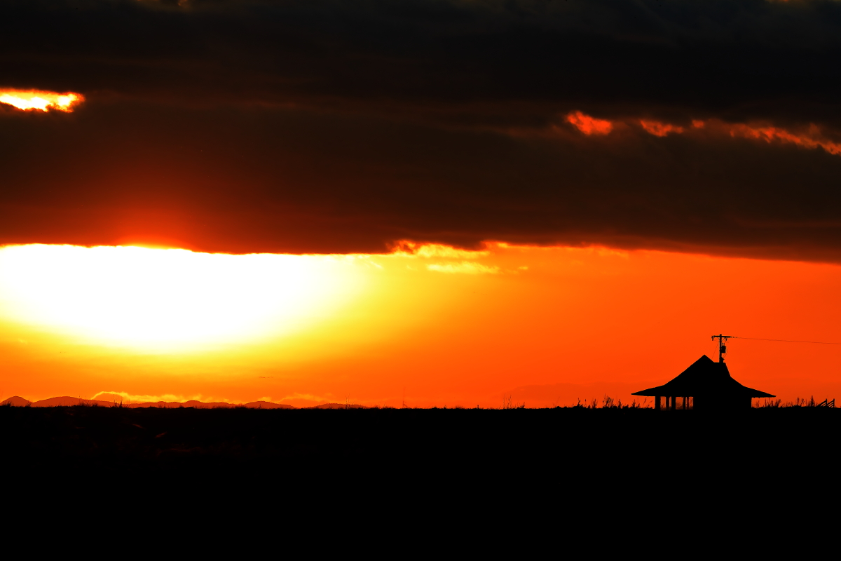 EOS 5D Mark IV_2078.JPG