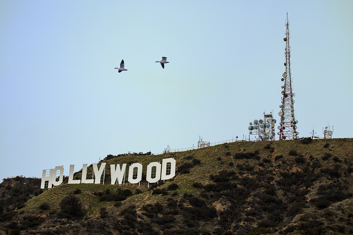 Untitled-1a.jpg : Hollywood Sign