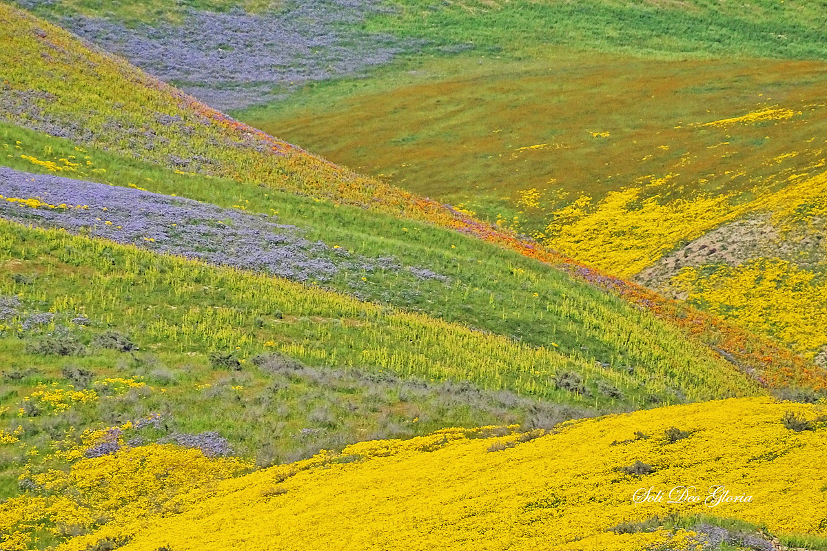 DSC02033-c.jpg