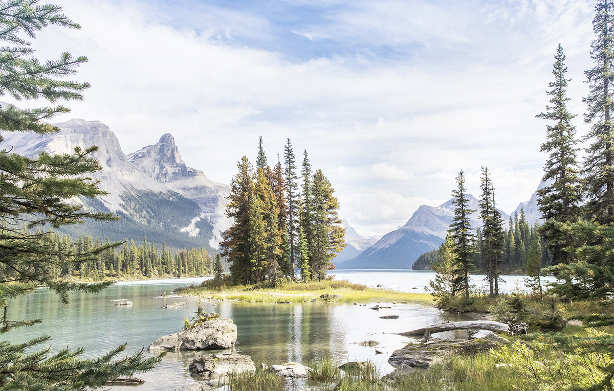 _49A0486-8.jpg : Maligne Lake