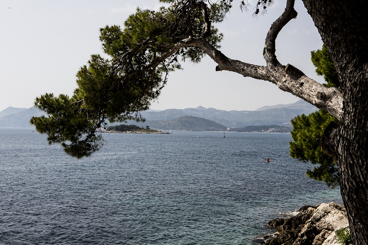 744A3527A.jpg : Cavtat, Dubrovnik