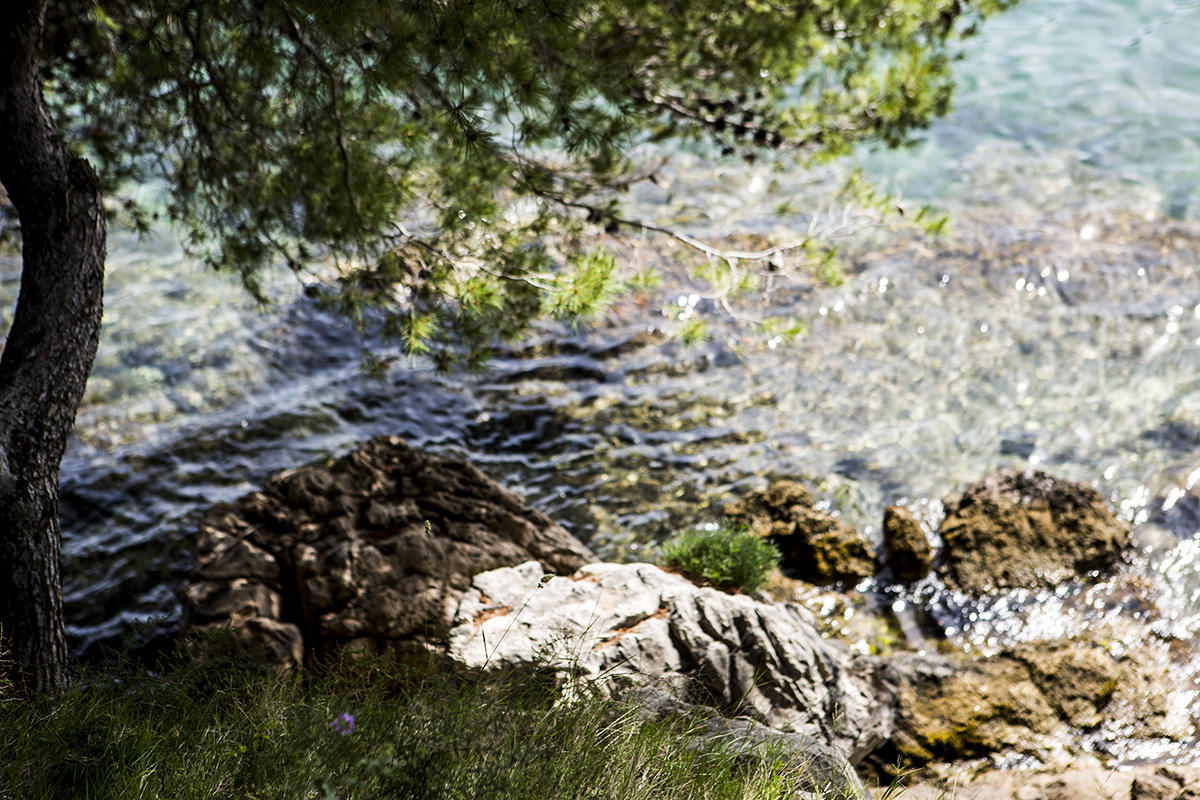 744A3495A.jpg : Cavtat, Dubrovnik