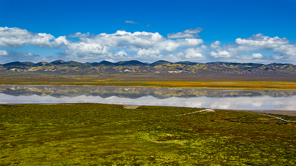 5I4A4415-3b.jpg : Soda Lake