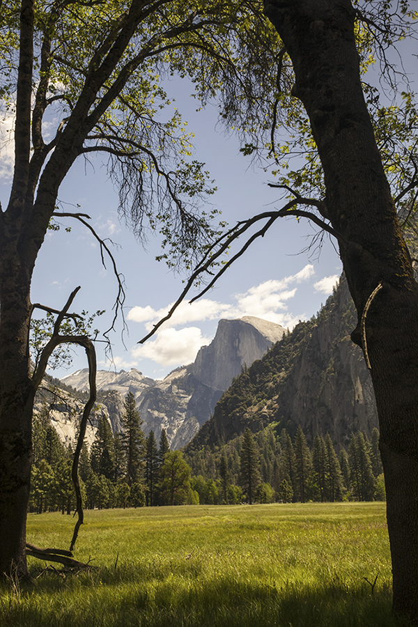 0J1A6241-2b.jpg : Half Dome