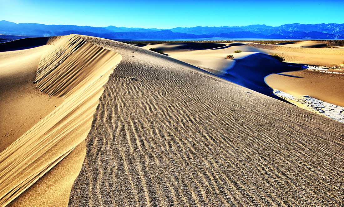 DSC_9944_5_6 PS Crop Dkr1100px.jpg : Dunes at Sunset
