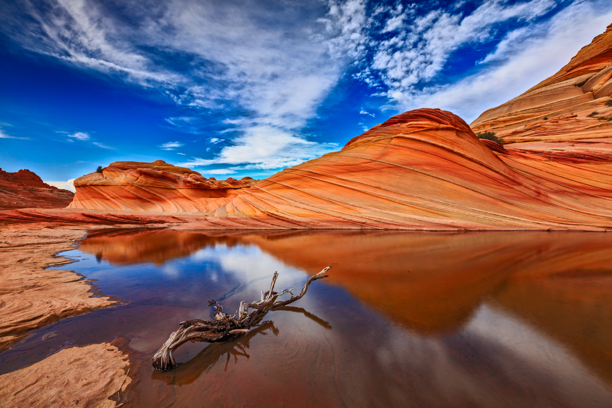 _93A8353-Edit.jpg : The Second Wave II