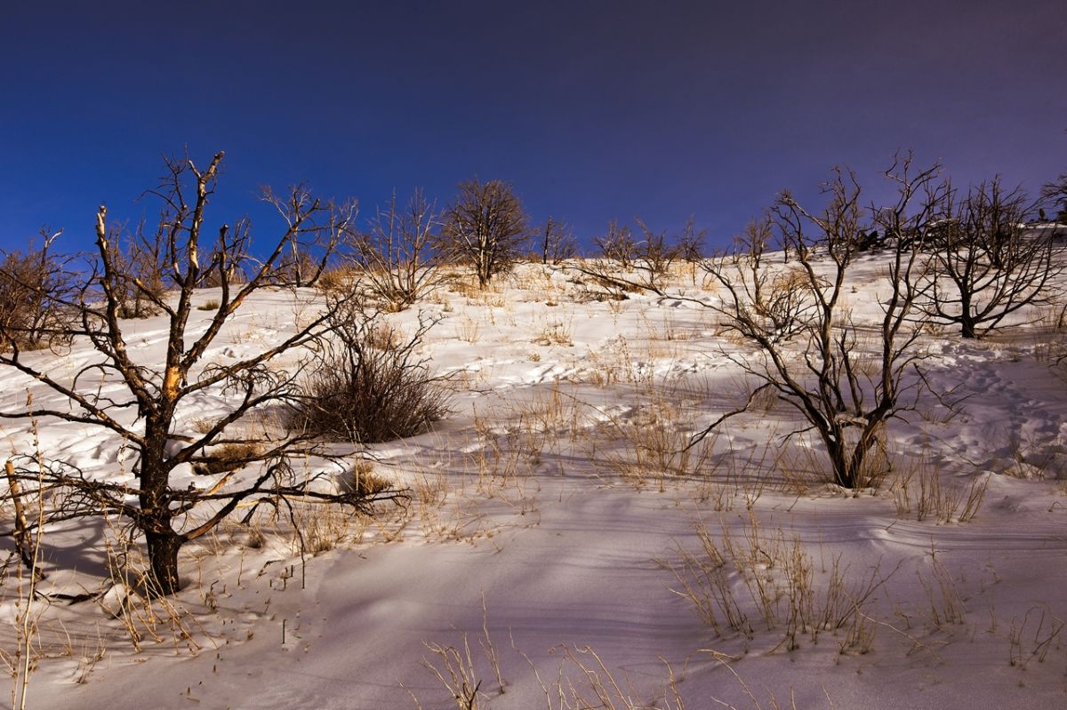 DSC_0421 copy Crop 1280px.jpg : Snow, Light and Shadow
