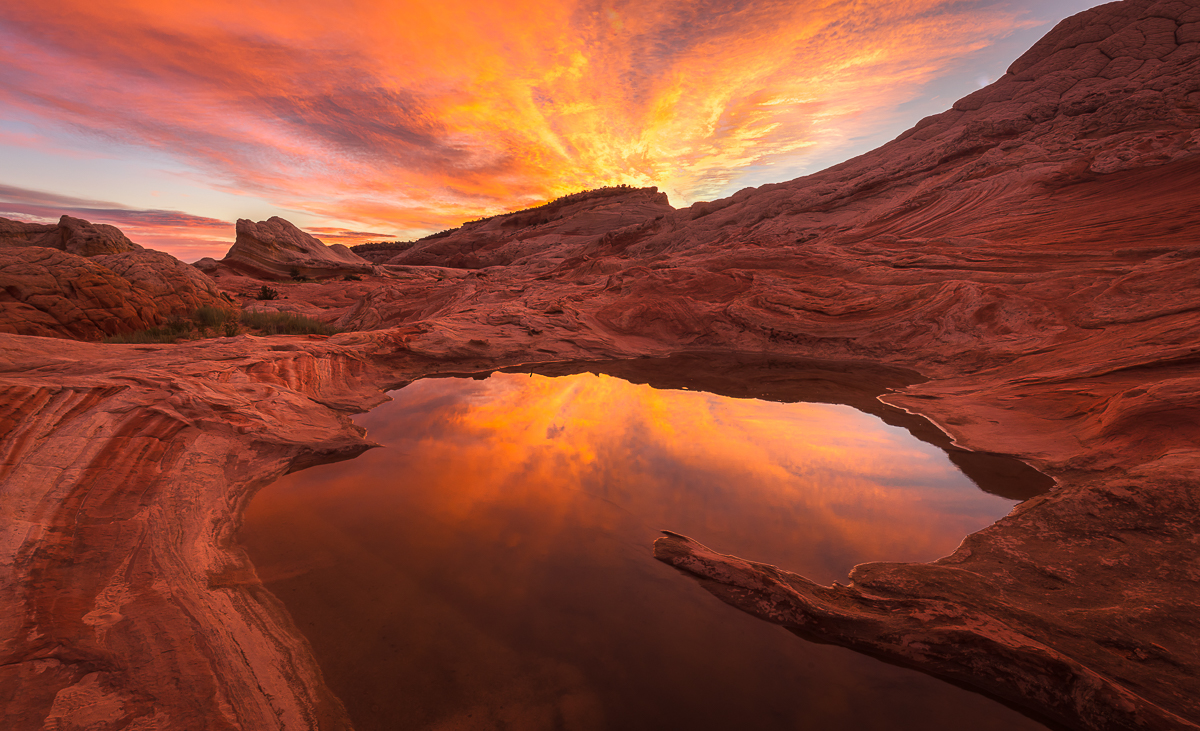 DSC_0641-Edit-2.jpg : White pocket Reflection